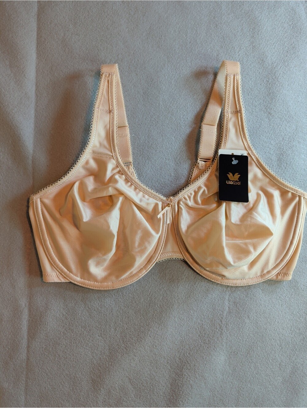 WACOAL 855192 Basic Beauty Full Figure Seamless Underwire Bra 38DD Beige NWT